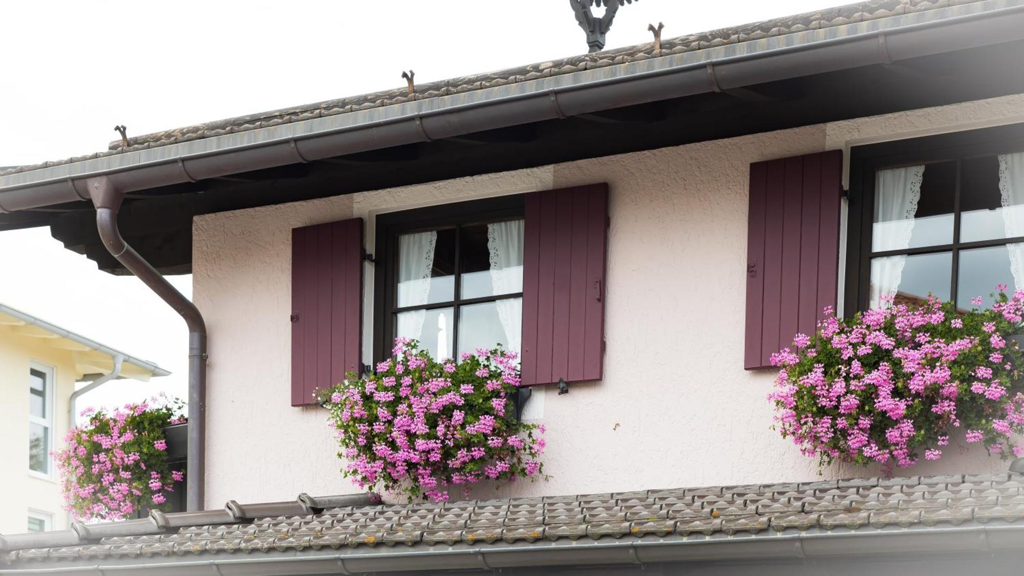 Gaestehaus Sattlerhof Bernau am Chiemsee Esterno foto